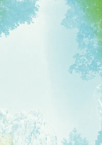 Sous la canopée — Paugo